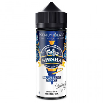 Blueberry Mint 30ml Bottlefill Aroma by Dr.Fog Shisha Blueberry Mint 30ml Bottlefill Aroma by Dr.Fog Shisha