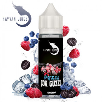 Cok Güzel 10ml Aroma by Hayvan Juice Cok Güzel 10ml Aroma by Hayvan Juice