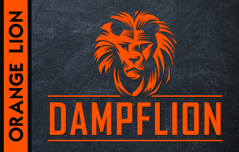 Dampflion Aroma 20ml / Orange Lion *B Ware* MHD 03/18 Dampflion Aroma 20ml / Orange Lion *B Ware* MHD 03/18