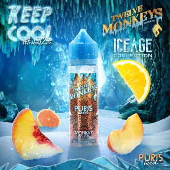 Puris ICED Ice Age Serie (50ml) Plus e Liquid by Twelve Monkeys Puris ICED Ice Age Serie (50ml) Plus e Liquid by Twelve Monkeys