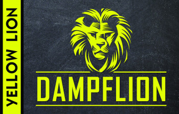 Dampflion Aroma 20ml / Yellow Lion Dampflion Aroma 20ml / Yellow Lion