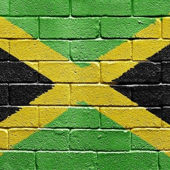 Pink Spot Aroma 10ml DIY Jamaican Me Crazy Pink Spot Aroma 10ml DIY Jamaican Me Crazy