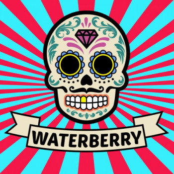 Vaper´s Valley El Bonneyo E-Liquid 50ml Waterberry 0mg Vaper´s Valley El Bonneyo E-Liquid 50ml Waterberry 0mg